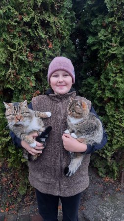 ������� ��������� - �����������